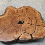 WhatsApp Image 2025-11-05 at 14.23.13